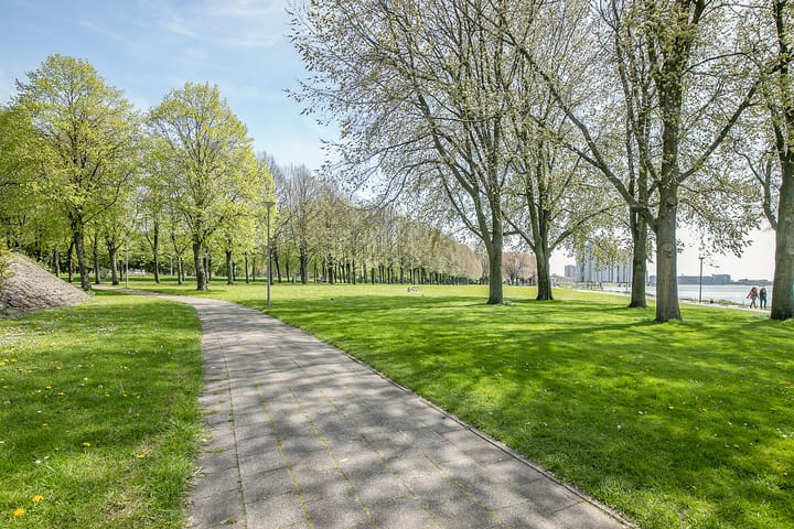 Photo 34 of Oostmaaslaan 388