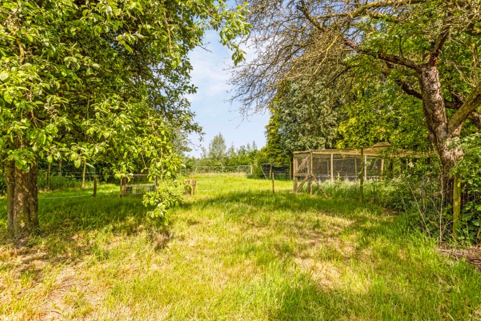 Foto 55 van Zeelberg 80