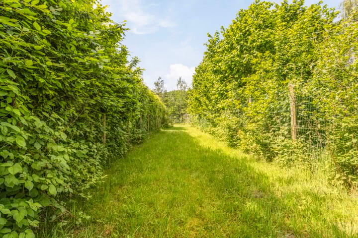 Foto 63 van Zeelberg 80