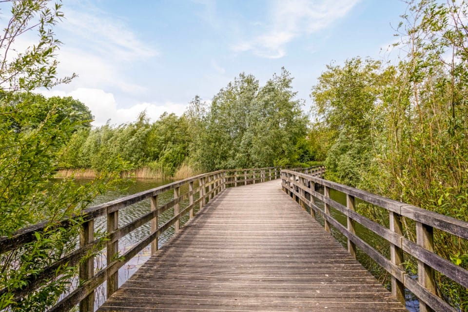 Foto 66 van Zeelberg 80