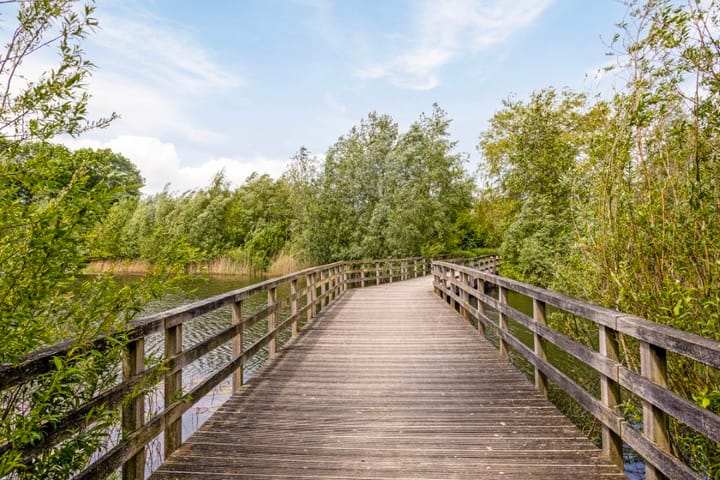 Foto 66 van Zeelberg 80