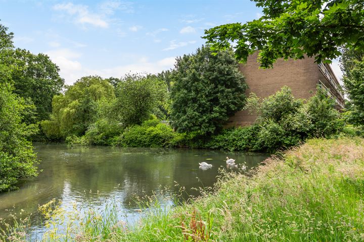 Bekijk foto 32 van Trekvogelweg 333