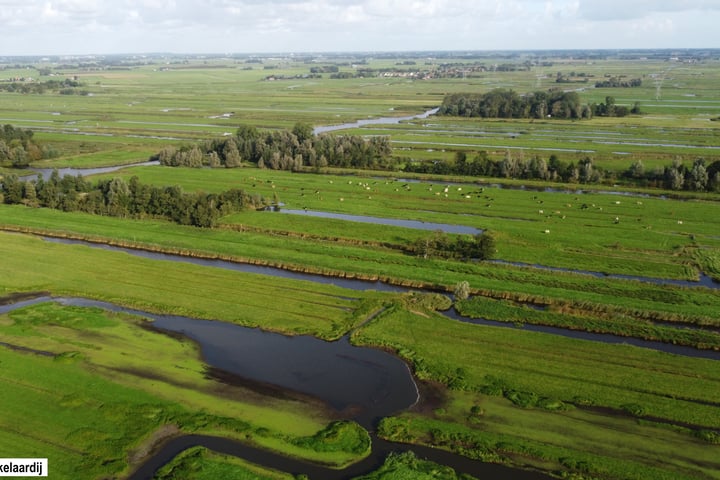 Bekijk foto 56 van Marten Michielshof 21