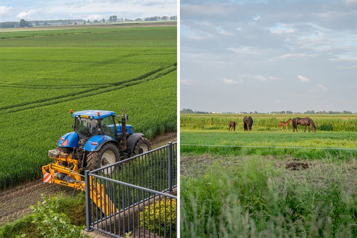 View photo 40 of Zuidzijdsedijk 38