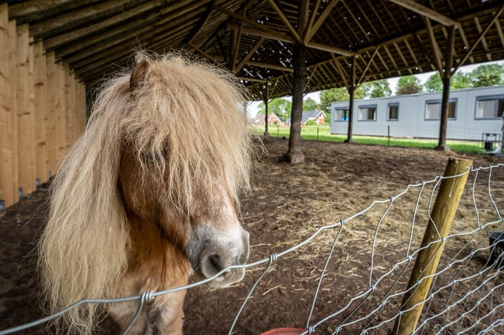 Foto 3 van Hoofdweg 110