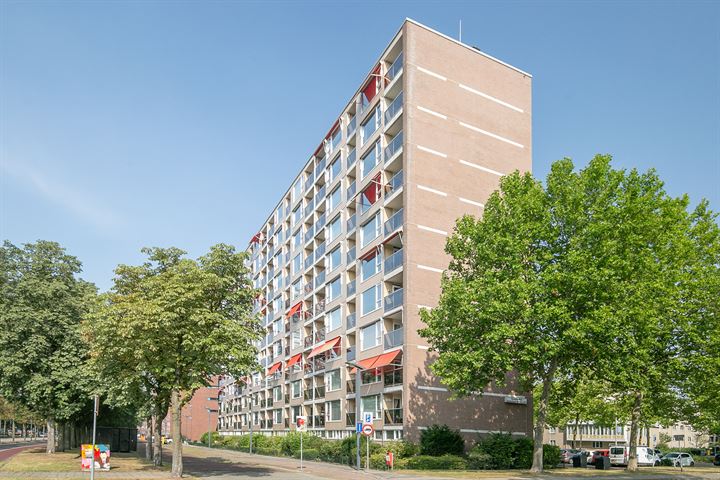 Bekijk foto 1 van Veenstraat 206