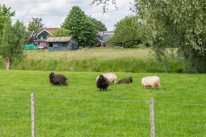 Bekijk foto 65 van Zuid-Spierdijkerweg 59