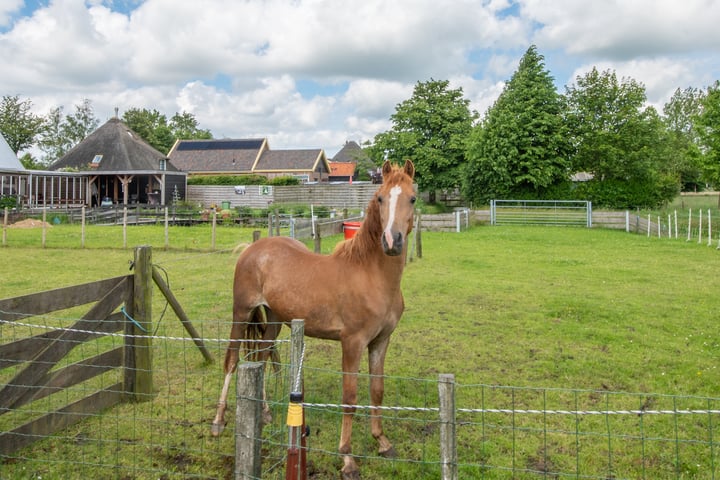 Bekijk foto 66 van Zuid-Spierdijkerweg 59