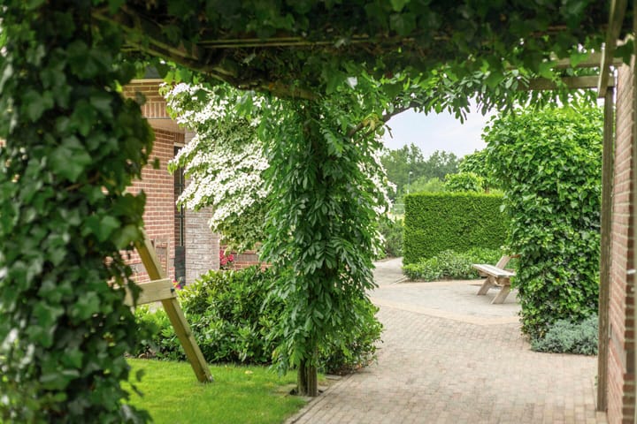 Foto 47 van Barneveldsestraat 20
