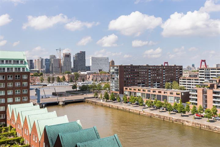 Bekijk foto 31 van Laan op Zuid 246