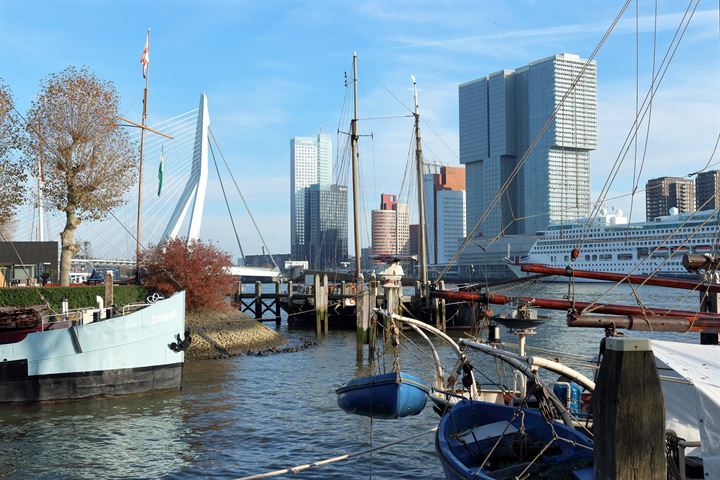 Bekijk foto 62 van Laan op Zuid 246