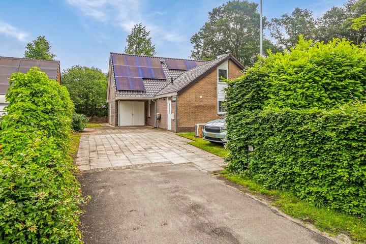 Foto 4 van de Hare 37