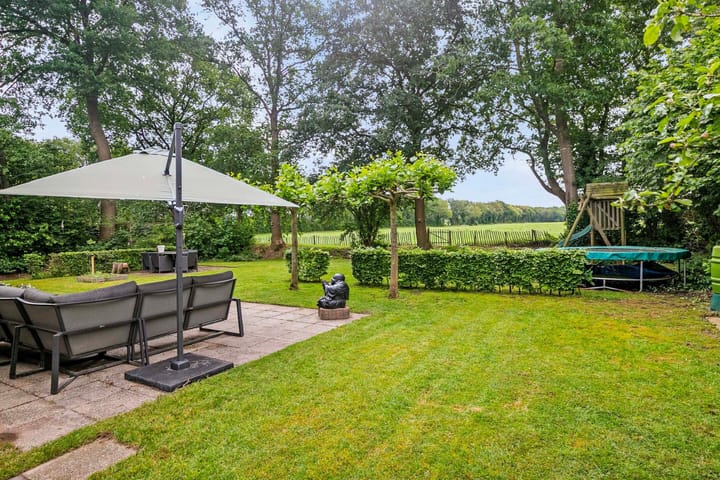 Foto 2 van de Hare 37