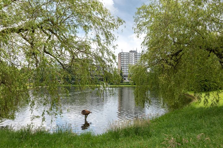 Bekijk foto 27 van Kapittelweg 86