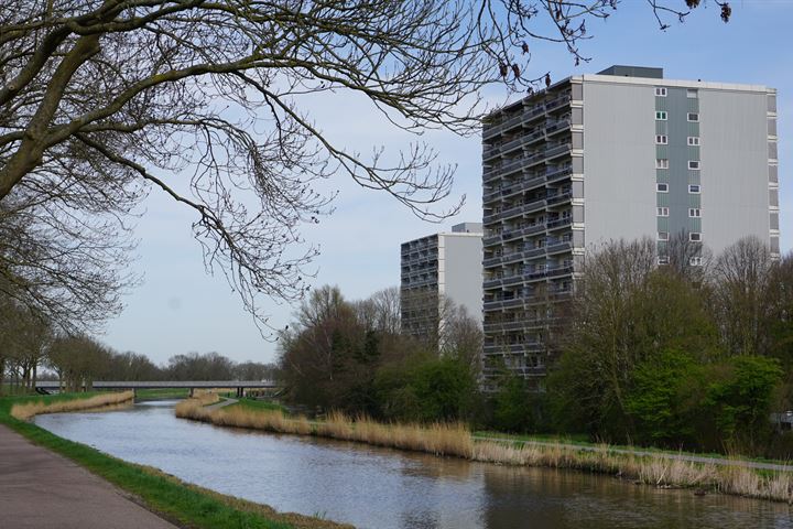 Bekijk foto 1 van Burgemeester D. Kooimanweg 763