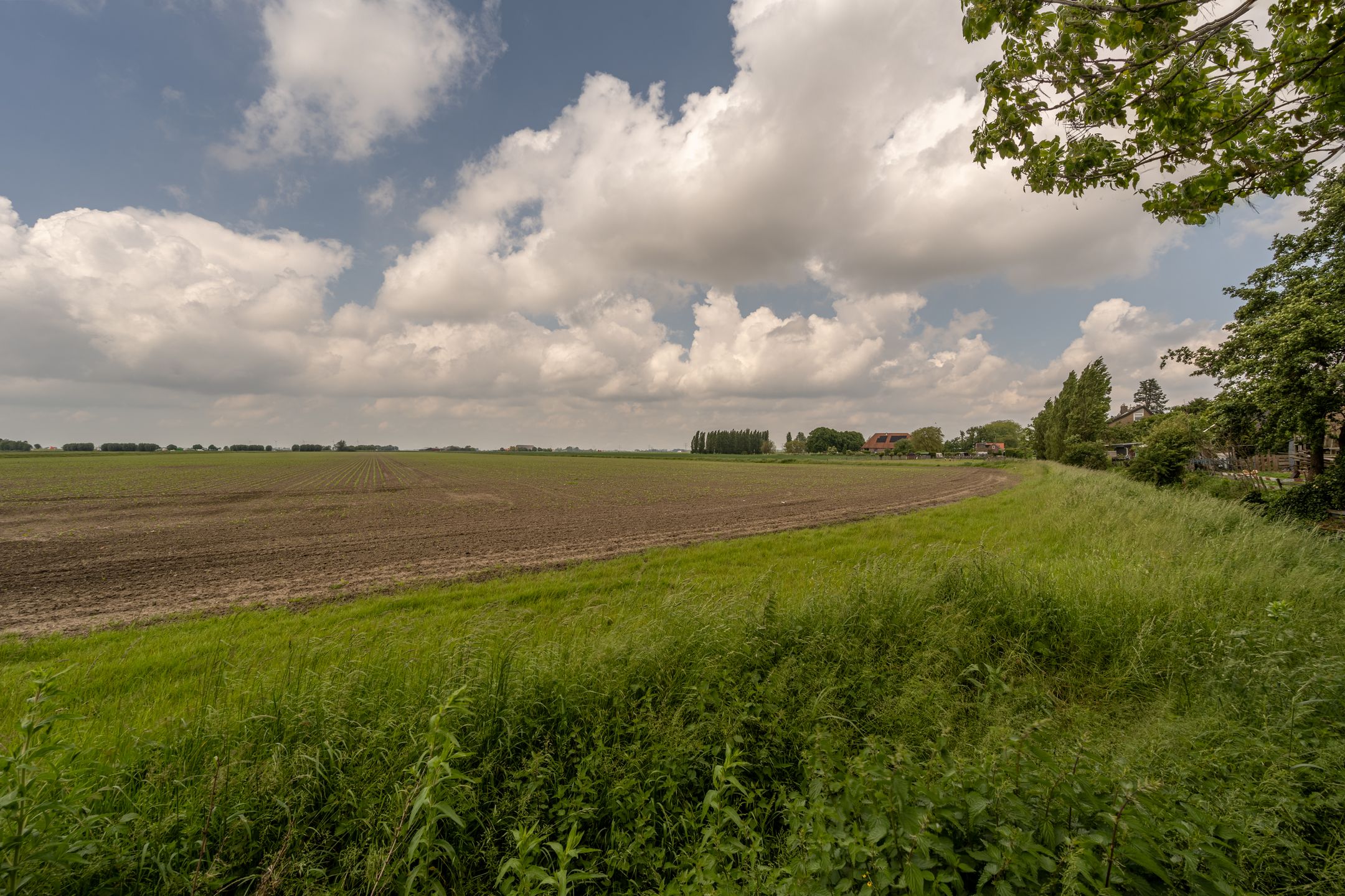 Foto 9 van Stougjesdijk 13