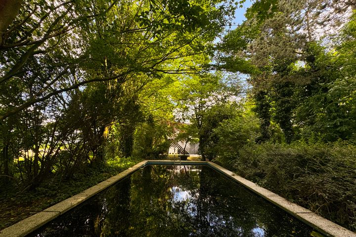 Bekijk foto 67 van Stougjesdijk 13