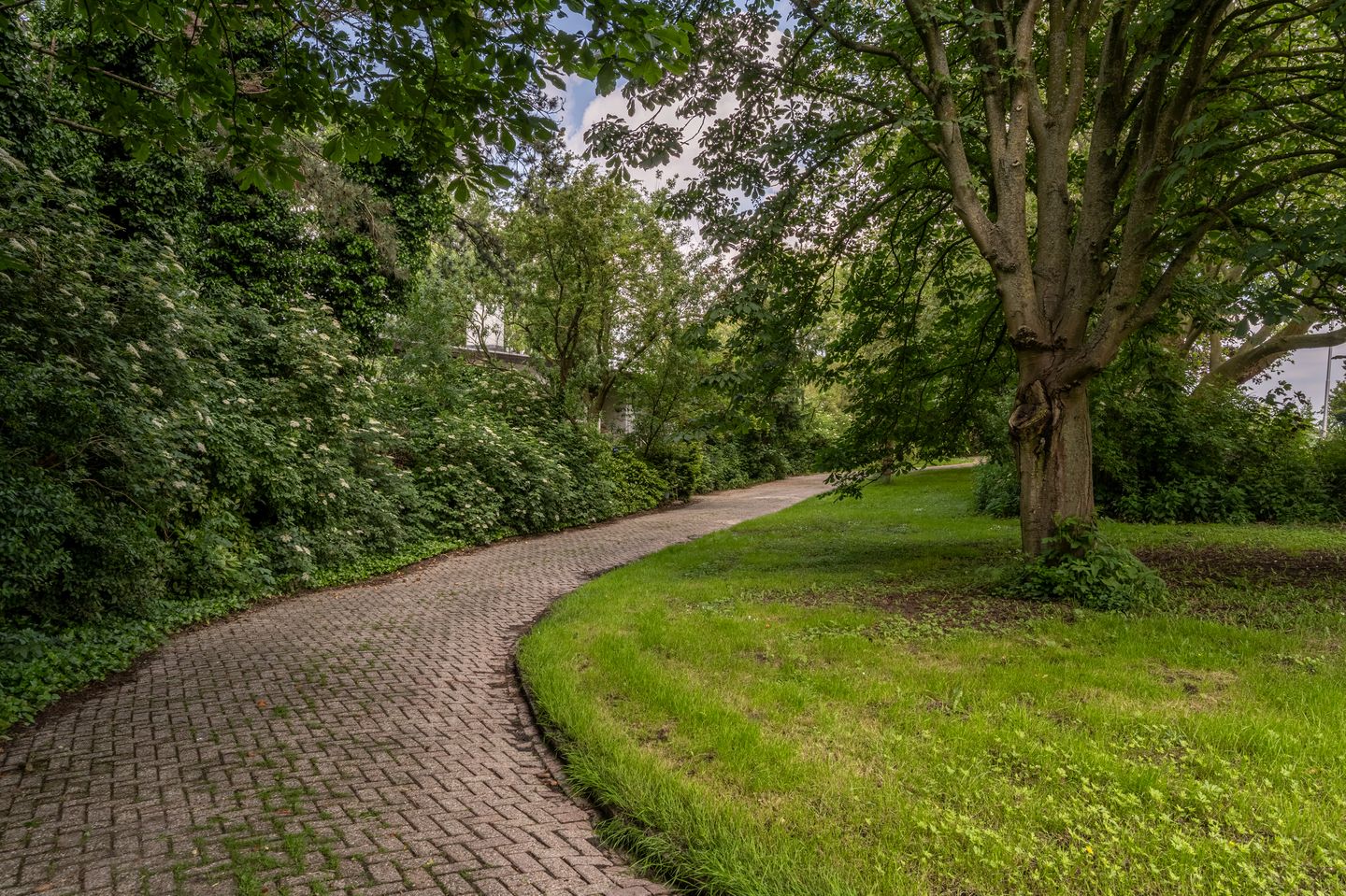 Foto 80 van Stougjesdijk 13