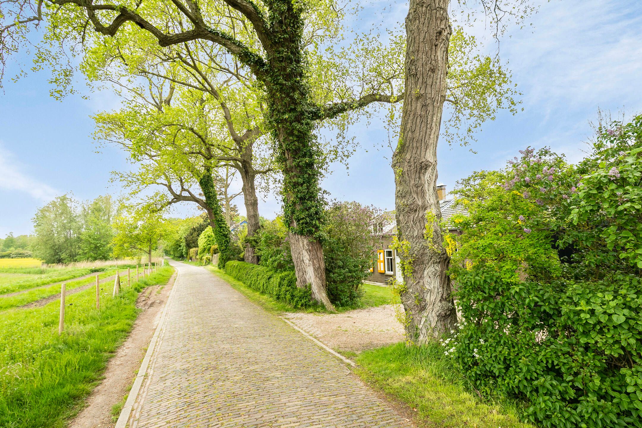 Foto 12 van Koningin Emmaweg 30-R