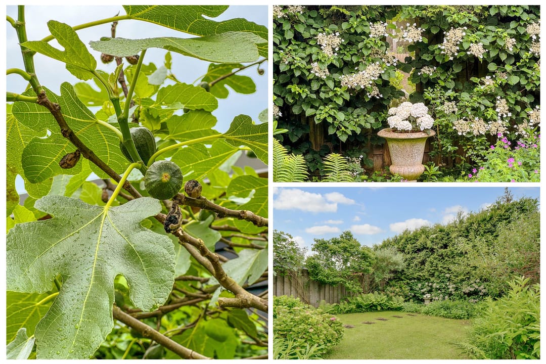 Foto 37 van Rijksstraatweg 273