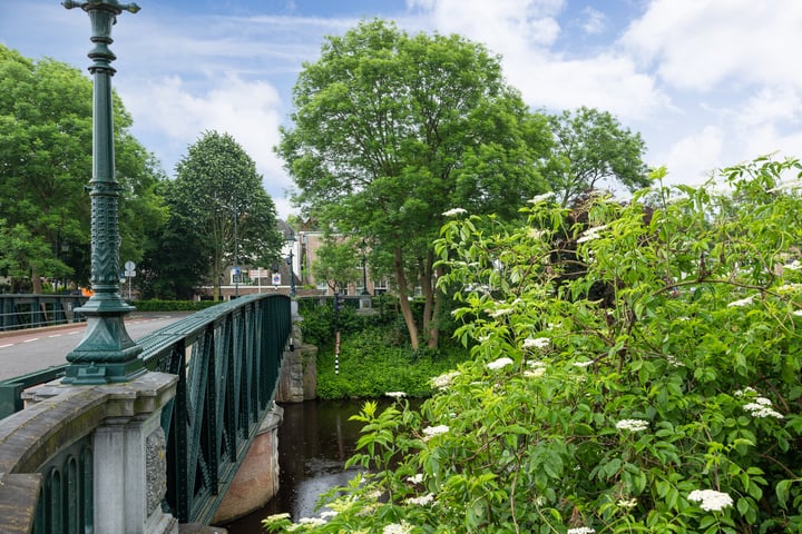 Bekijk foto 40 van Emmaplein 13