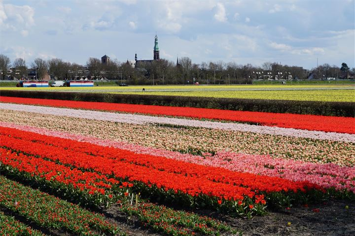 Bekijk foto 40 van Zilkerduinweg 145