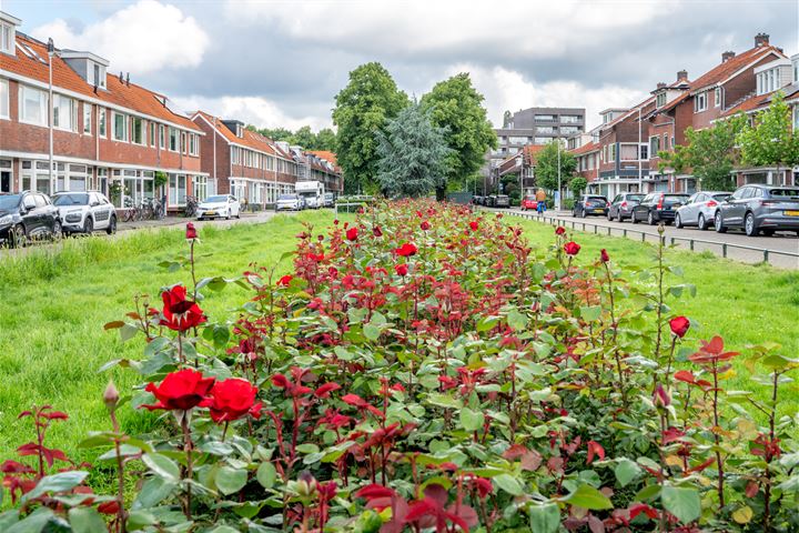 Bekijk foto 42 van Julianaweg 397