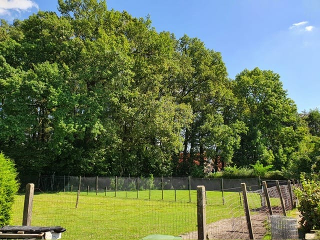 Foto 40 van Brinkstraat 11