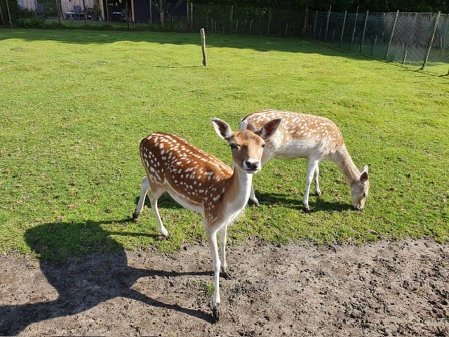 Foto 42 van Brinkstraat 11