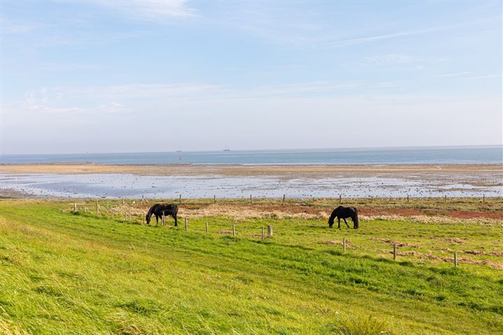 Bekijk foto 62 van Dennenlaan 16