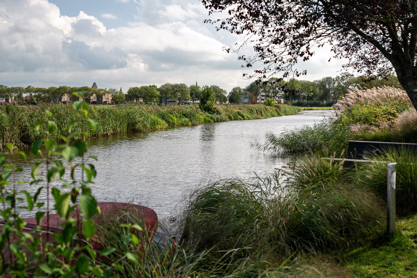 Photo 55 of De Ward 23