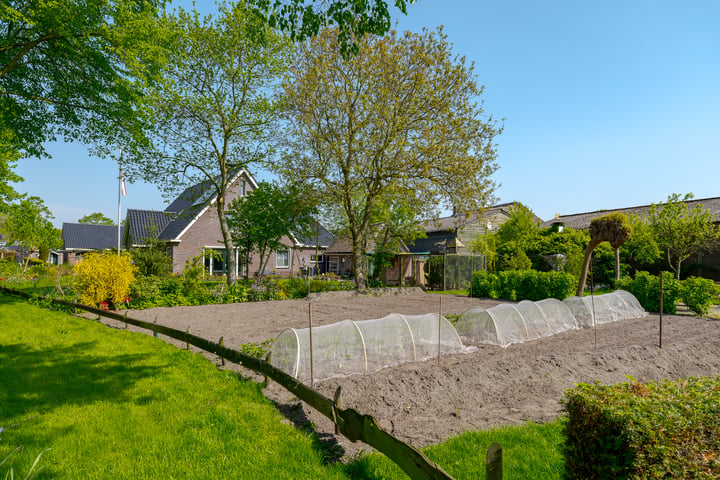 View photo 9 of Zuidbrink 16