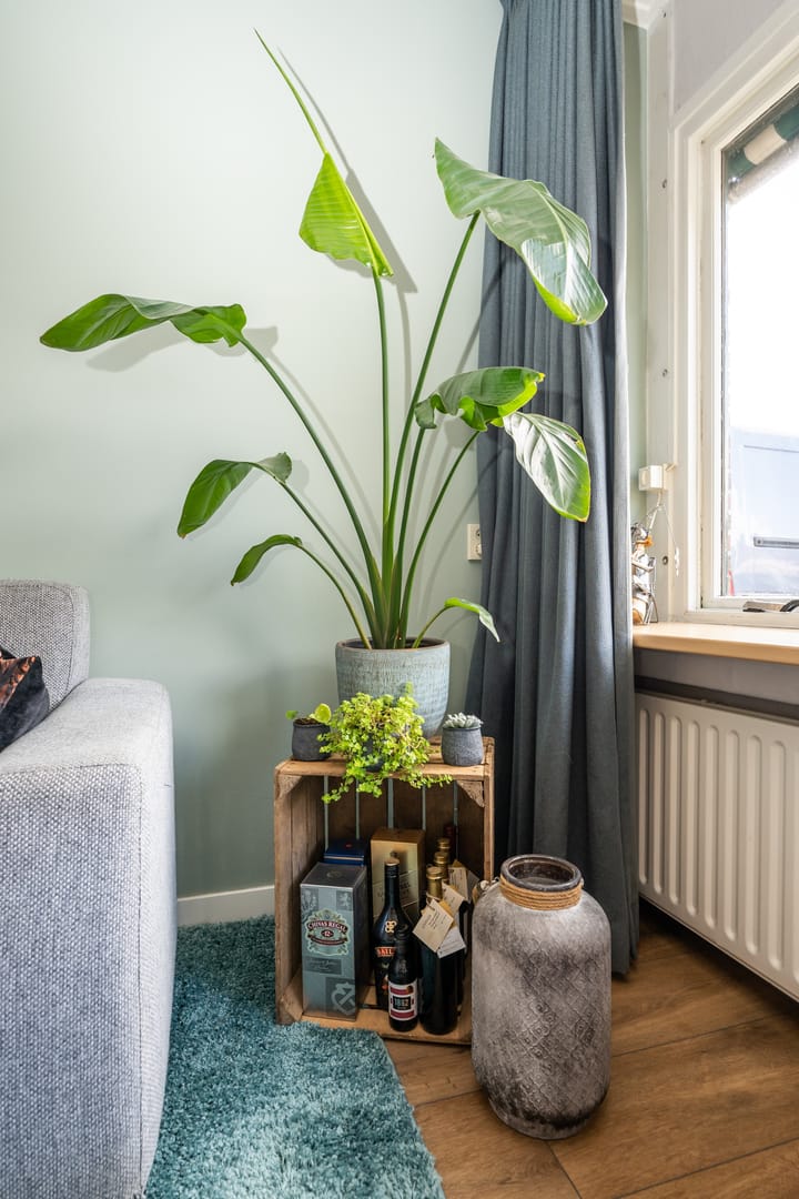 Foto 11 van Ankerstraat 3