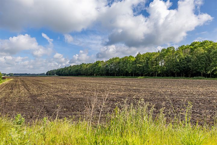 Bekijk foto 38 van Damsterweg 30