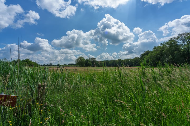 Bekijk foto 38 van Esakkers 17