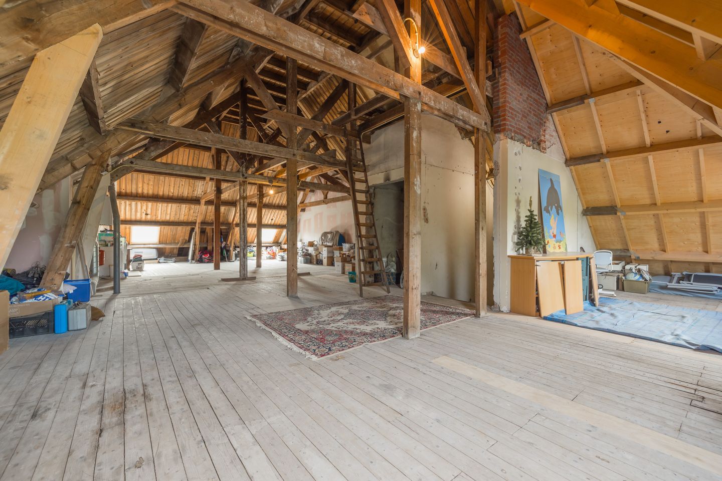 Photo 64 of Pauluslaan 124