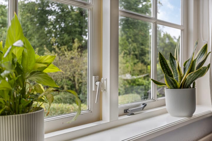 Foto 11 van Maasdijk 156