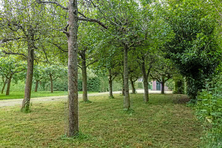 Foto 31 van Maasdijk 156