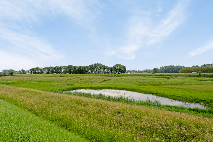 Bekijk foto 2 van Maasdijk 156