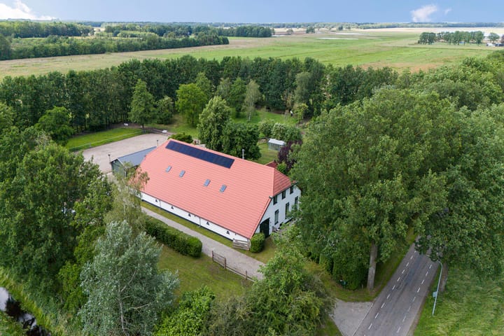 undefined main image