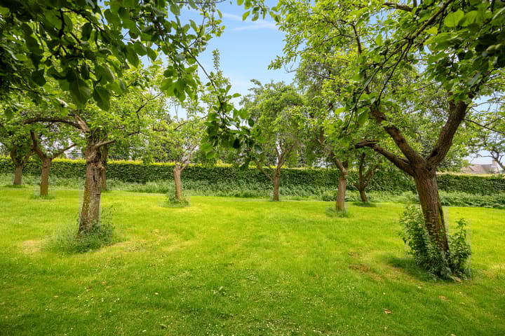 Foto 26 van Bilderdijkstraat 5