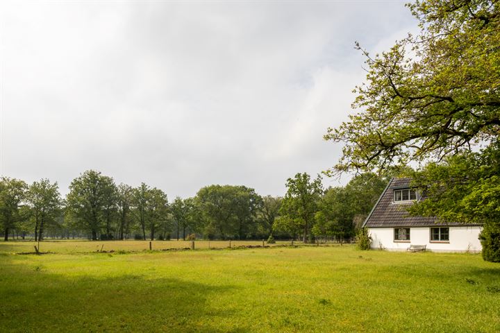 Bekijk foto 2 van Greutelseweg 42