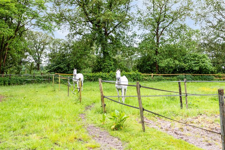 Bekijk foto 36 van Bovenweg 30