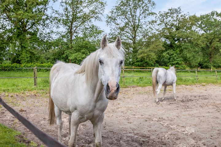 Bekijk foto 45 van Bovenweg 30