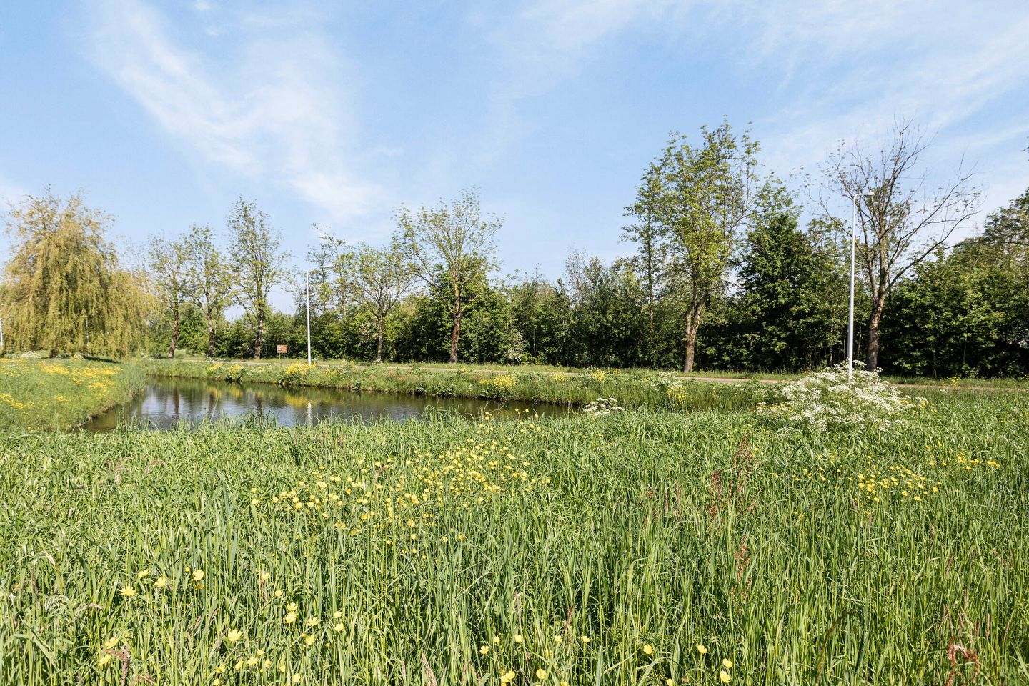 Foto 25 van Koevordermeerstraat 12