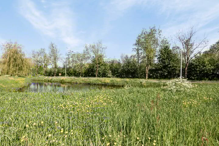 Foto 25 van Koevordermeerstraat 12