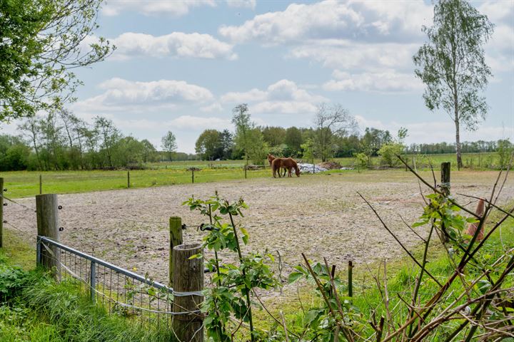 Bekijk foto 6 van Twitelderreed 8