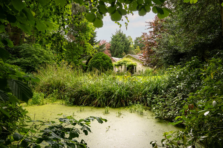 Bekijk foto 57 van Graaf Bentincklaan 13