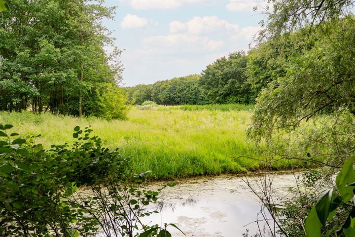 Bekijk foto 58 van Graaf Bentincklaan 13