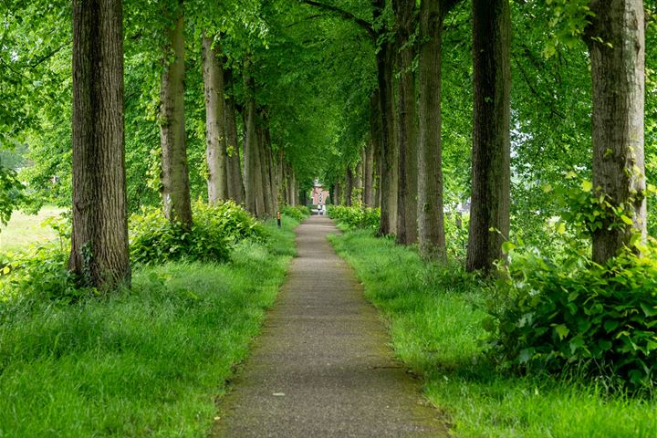 Bekijk foto 68 van Graaf Bentincklaan 13